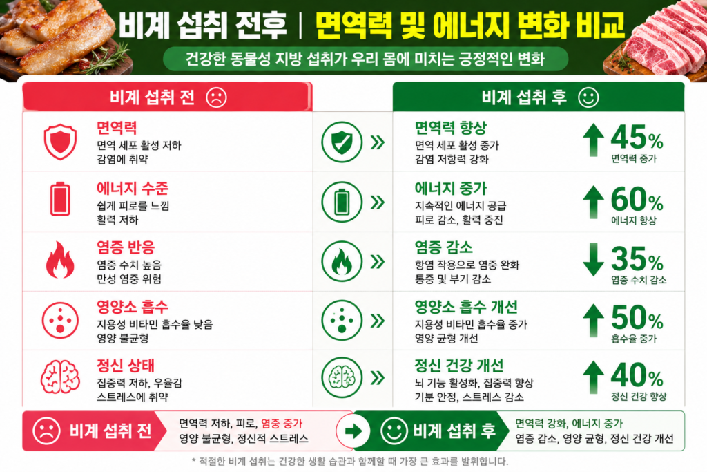 비계 섭취 전후의 면역력 및 에너지 변화 비교 요약