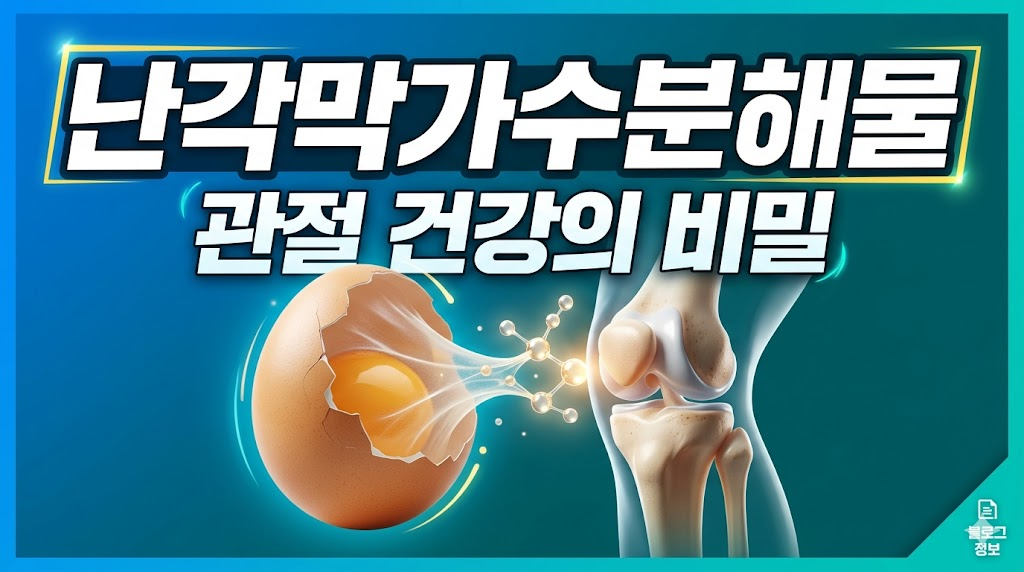 난각막가수분해물 효능 5가지와 부작용 선택 전 필수 가이드 썸네일