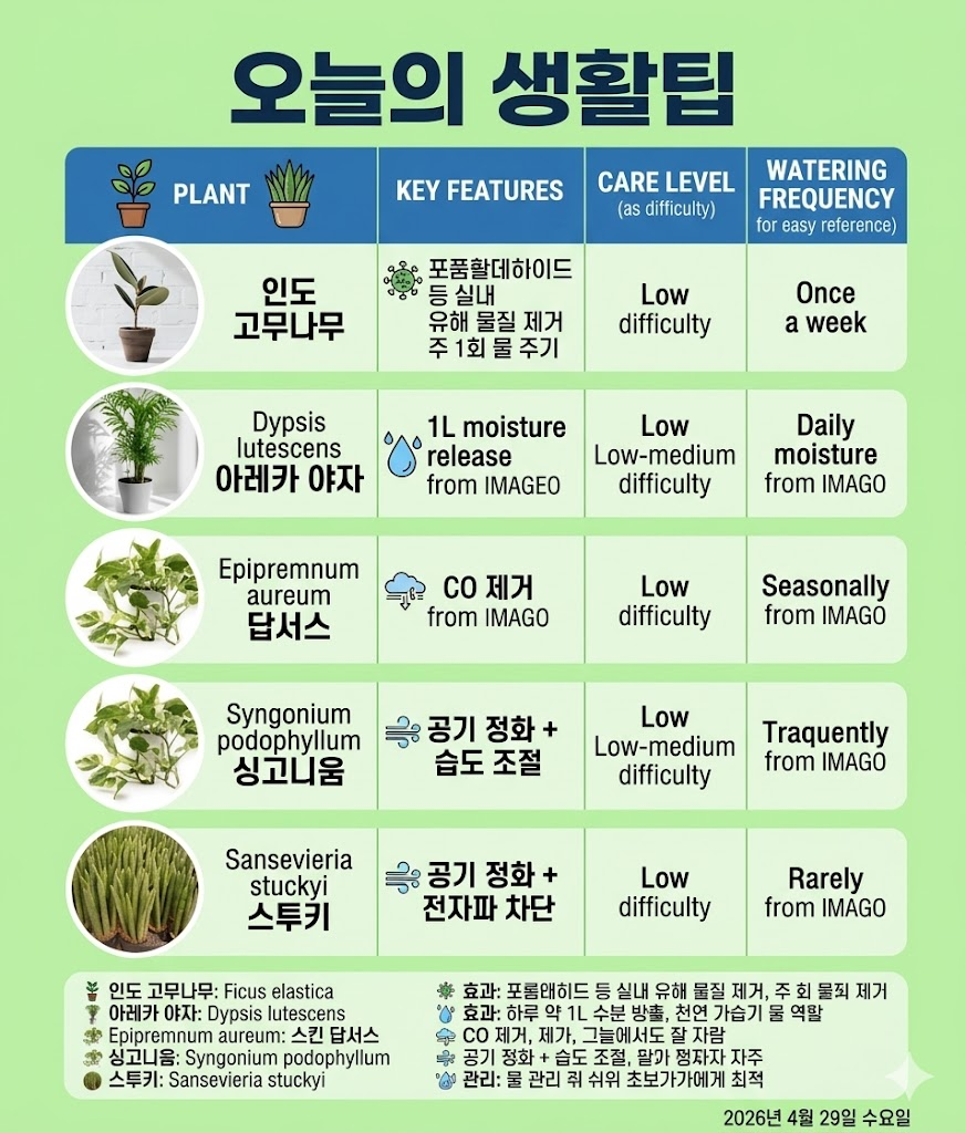 오늘 소개된 5종 식물의 특성 및 관리 난이도 비교표 이미지