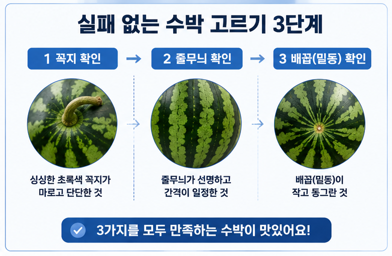 수박을 고를 때 확인해야 하는 꼭지, 줄무늬, 배꼽의 위치와 판별 흐름을 보여주는 깔끔한 인포그래픽.