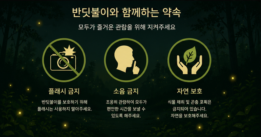 화담숲 반딧불 축제 관람 주의사항 플래시 금지