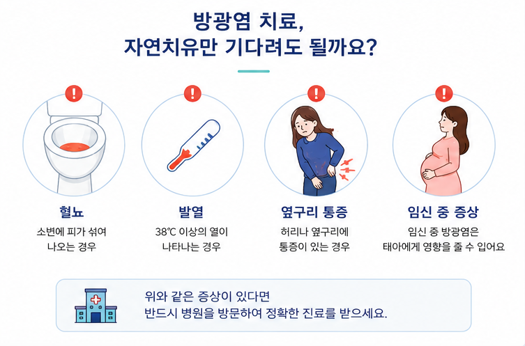 혈뇨 발열 옆구리 통증 등 방광염으로 병원 진료가 필요한 증상을 정리한 이미지
