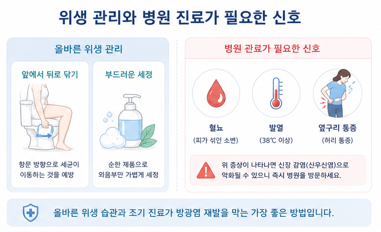 방광염 재발 예방을 위한 위생 관리와 혈뇨 발열 옆구리 통증 등 병원 진료 신호를 정리한 이미지